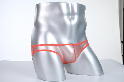 Men's Mesh Sheer Bulge Pouch Bikini Briefs Panties Low Rise See Through Underwear4
