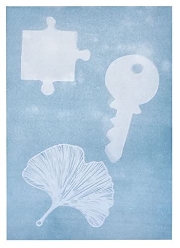 Moses. PhänoMINT - Carta per stampa solare