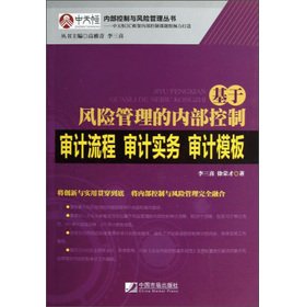 Based on risk management. internal control audit process. Audit Practice audit template(Chinese Edition)