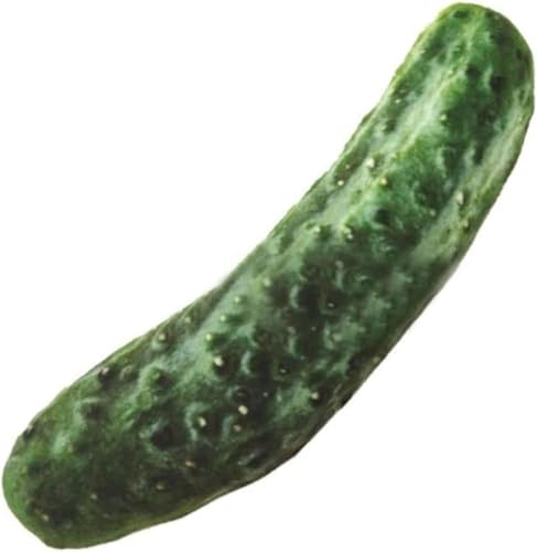 Wyjuan Cetriolo verde a forma di cibo cigolante, per cani di taglia piccola, media e grande, giocattoli da masticare