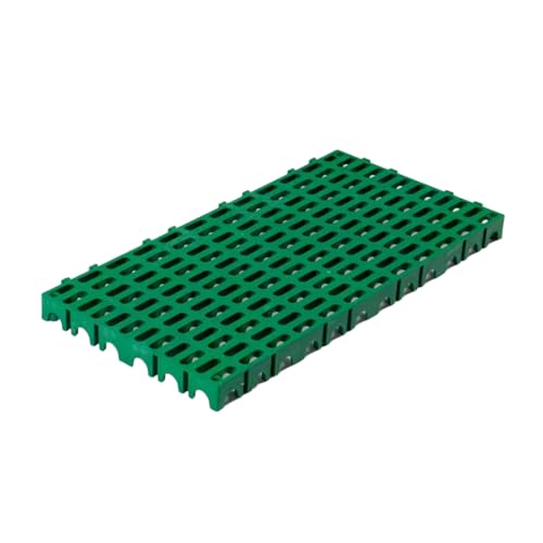 W[rtA}bg 4pbN AK[WtA^C 80x40cm NbVtA Op(Green)