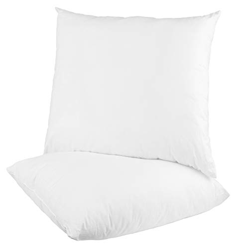 Bestlivings Juego de 2 cojines de 30 x 30 cm en microfibra de calidad Deluxe, cojines decorativos como relleno, adecuado para todas las fundas de almohada de tamaño 30 x 30 cm