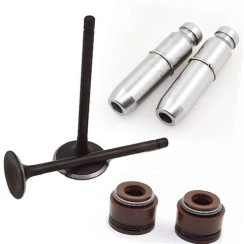 Guía de válvula de escape y admisión para motos Honda CB125E y XR125L GLH125