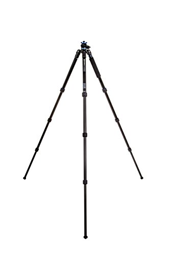 Benro Systemgo Plus Aluminum Tripod With Monopod Conversion (Fgp28A) #TOP1