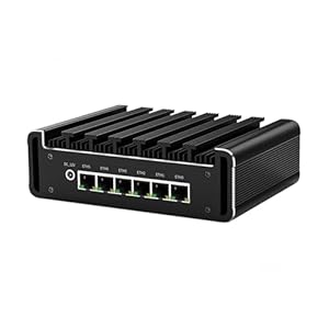 ShengOrigin Lüfterlose Industrie Mini PC N100