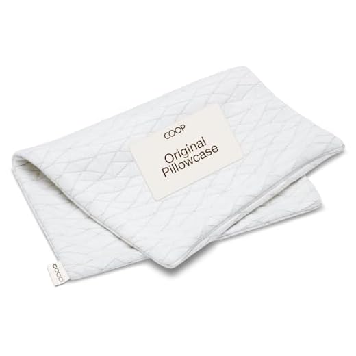Coop Home Goods - Breathable Ultra Soft Noiseless Pillowcase - Patented Lulltra Fabric from Bamboo Derived Viscose Rayon and Polyester Blend - Oeko-Tex Certified - Queen Size 20"x 30"