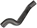 Motorcraft Hose