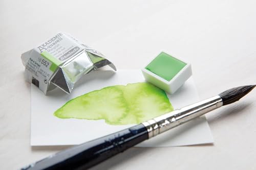 Schmincke Akademie Akademie zestaw do malowania akwarelowego, metalowe pudełko, 12 x 1/2 patyczków + miejsce na 12 kolejnych 1/2 naleśników