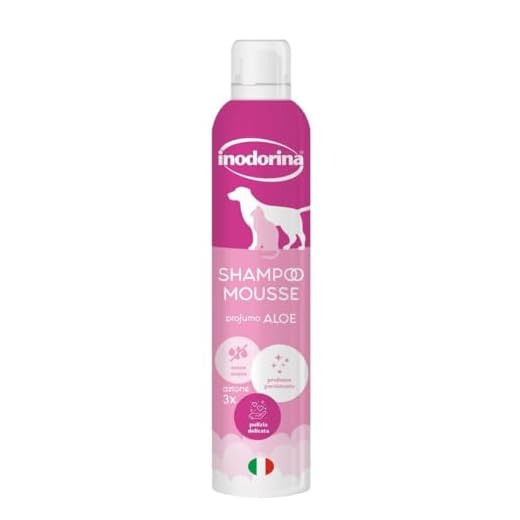 INODORINA - Champú Espuma de Lavado en Seco Aloe Vera de 300ml