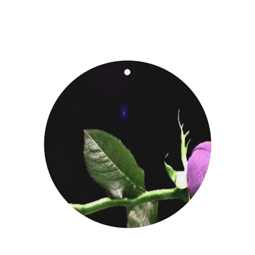 2pbN ݂艺ԗpF܃J[h - ݂艺A}Zs[J[h (x_[̍) ԁA̐QA[h[uACȂǂɍœK jZbNX(˓IȃA[X[Yt[oh)