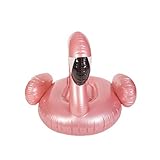 Un buen regalo para sorprender a su hijo o novia y convertirse en una superestrella de la fiesta en la piscina.