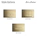 Swiss Madison Well Made Forever Wall Mount Dual Flush Actuator Plate with Square Push Buttons in Brushed Brass (SM-WC002Z)