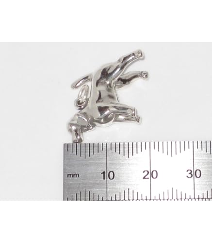 Maldon Jewellery SSLP2106