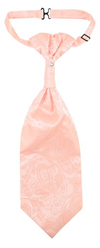 Image of Vesuvio Napoli PreTied ASCOT Solid PAISLEY Color Cravat Men's Neck Tie 21 Colors