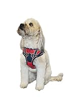 Algopix Similar Product 3 - Marvel Comics Spiderman Dog Harness