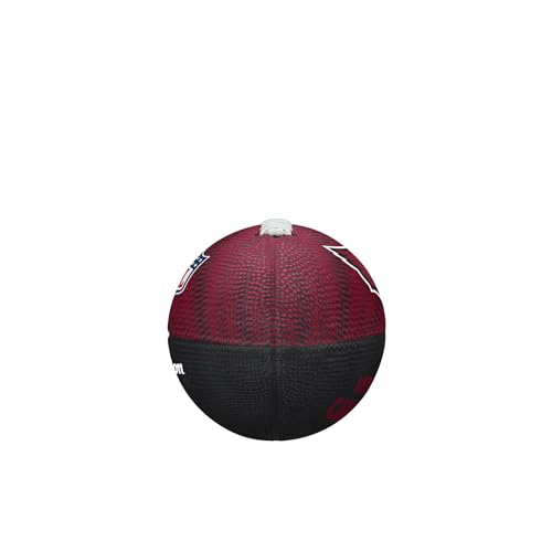 Image of WILSON Unisex NFL Team Tailgate Footballs