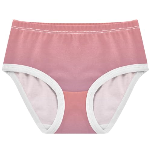 Joisal Animals Toddler Underwear Floral 2t Cotton Cute Panties Girl Coral Pink Opera Mauve Gradient Briefs Kids Undies