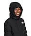 THE NORTH FACE Women's Insulated Gotham Parka, TNF Black-NPF, Medium