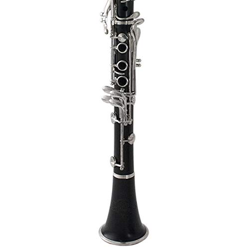 THE WILMINGTON CLARINET (903) Professional