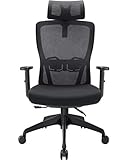 Tribesigns Ergonomic Office Chair, High-Back Desk Chair Mesh Chair with Lumbar Support, Home Office Swivel Computer Chair with Tilt Function, Lumbar Support