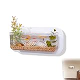 Eastrpupira Wall Fish Tank, Mini Wall Mounted Fish Tank, Hanging Hydroponic Plant Pot, Living Room Decoration, 1500 ml/0.4 Gallon