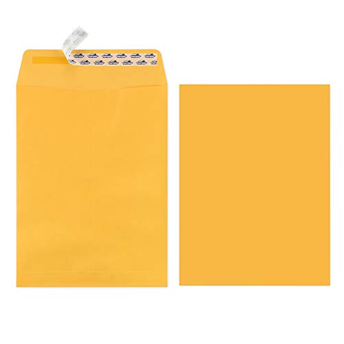 ValBox-9x12-Self-Seal-Security-Catalog-Envelopes-250-Packs-Brown-Kraft-Envelopes-with-Peel-and-Seal-Flap-for-Mailing-Organizing-and-Storage