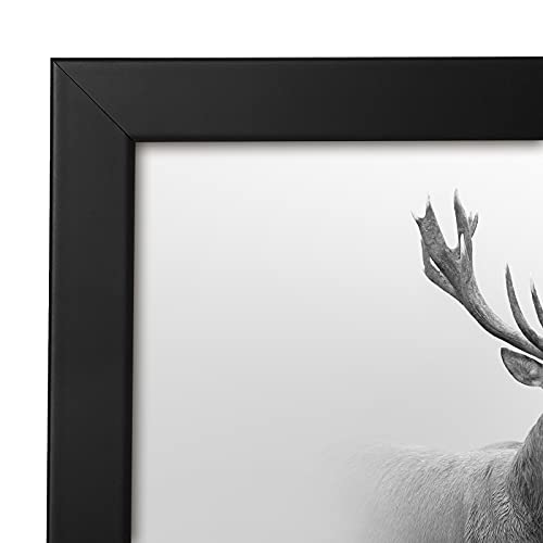 Americanflat 16x16 Picture Frame with Polished Plexiglass - Epic Collection - Square Picture Frame with Engineered Wood - Wide Photo Frames for Wall display - Black