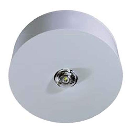 Rp-Technik Led-Sicherheitsleuchte Si-Leuchte Decke/Flur, Eb + Sc/3H, 3,7W, 240Lm, 3H (Ildf023Sc)