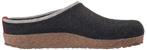 Image of HAFLINGER
