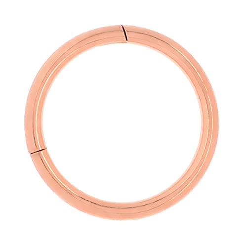 [sGi] T[WJXeX t[v 18G 16G Ў P ^b` NbJ[ ZOgO {fBsAX jZbNX (16GE12mm sNS[h)