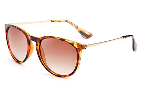 FEISEDY Polarized Sunglasses Women Men Vintage Round Classic Mirrored Sun Glasses B2571