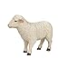 MOJO Sheep Realistic Farm Animal Hand Painted Toy Figurine