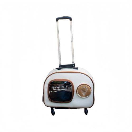 samchu ybgLX^[tLyĒʋCČ^ꂵɂeʃbNLpOoobOOopgєLobOybghZۉԐ_팢eʃLbg{bNX (x[W̃|[`)