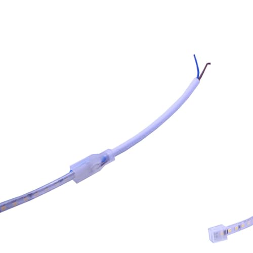 FOLGEMIR fiche 2 broches, connecteur sans soudure, cordon d'alimentation de remplacement pour ruban à LED 10mm de large avec puce IC