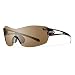 Smith Optics Pivlock Asana Sunglass with Platinum