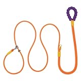 犬用リード スリップリード、Awpland 頑丈な犬用リード、ソフトフォームパッド入りハンドル、強力ロープ 引っ張らないペットトレーニングリード、小型、中型、大型犬用