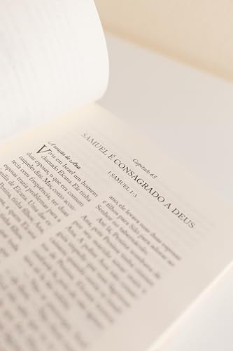 Histórias bíblicas para crianças: contadas por uma mãe a seus filhos (Volume 2)