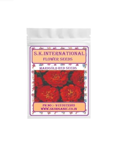 Image of Hybrid F1 Flower Seeds, Easy to Grow, Low Maintenance (Marigold Red-Mesembery-Ornamental kale)
