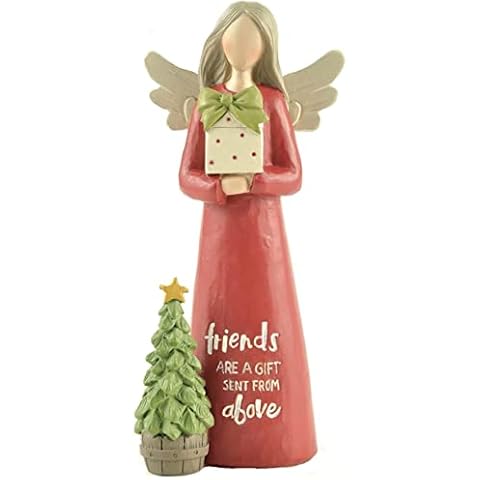 Blossom Bucket Friends are A Gift Christmas Angel Decoration, Multi-Color Cover