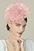 BABEYOND Fascinators Hats for Women - Tea Party Kentucky Fascinator Derby Hat Mesh Flower Fluffy Headband with Hair Clip Pink