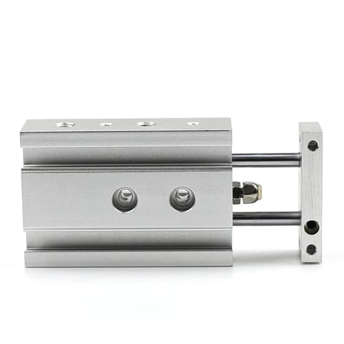 Vérin pneumatique double tige CXSM10 en acier inoxydable pour guidage précis
