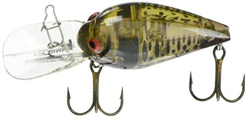 Rapala(���p��) �N�����N�x�C�g �X�g�[�� �I���W�i���E�C�O�����[�g 5cm 12g �t�@���g���O���[�����b�h�N���[ #169 V169 ���A�[