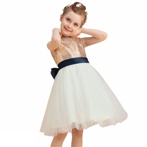 Vestido de fiesta para niñas como regalo de cumpleaños de corte princesa