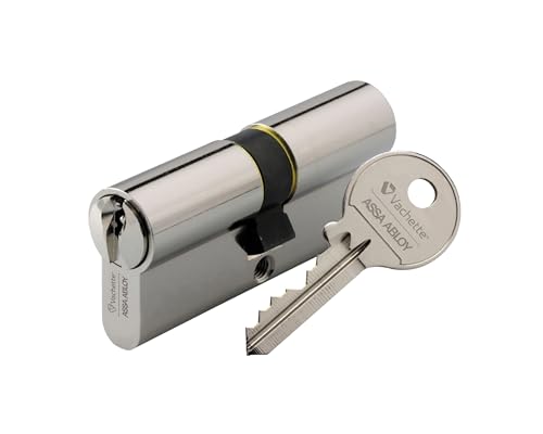 Vachette Cylindre de Serrure Mécanique FIRST pour Porte - Double...