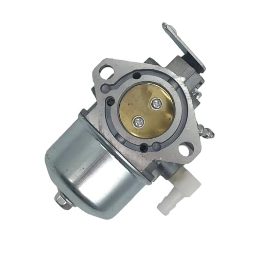 Carburateur 498838 499029 497164 497844 695503 pour moteur thermique 19E416