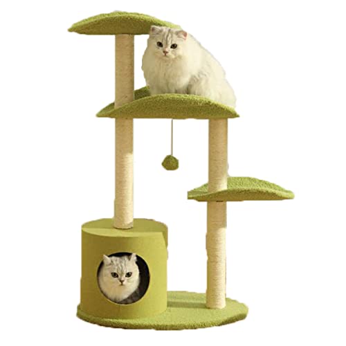 JUNENTER w̍Lbgc[ _ȃO[Lbg^[ LƃWvt Lp i w̍Rh~jA ^Lp Lbgc[^[Rh~jA