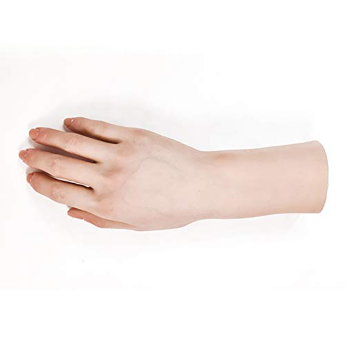 Amazon.co.jp: Podoll ハンドモデル 手 マネキン 模型 トルソー 女性