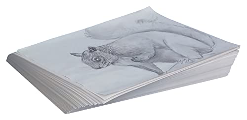 School Smart Newsprint Drawing Paper, 30 Lb, 12 X 18 Inches, 500 Sheets,White #TOP1