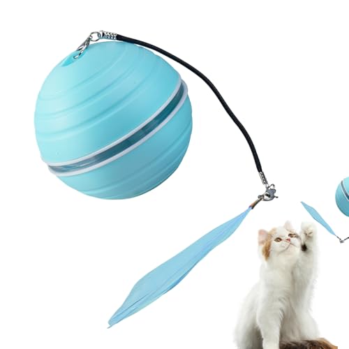 Wezalget �L�p�{�[���������� - ���� ���� �y�b�g �p�i | �L������Ă��邽�߂̃{�[�� �t�F�b�`�V�їp | �����p �m��ߋ� �p�[�e�B�[ �q�� �a���� �V�N����