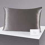 ALASKA BEAR Silk Pillowcase for Beauty Sleep, Pure Genuine 22 Momme Mulberry Silk Crepe Pillow Case...